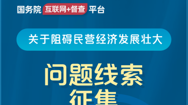 操臭骚逼国务院“互联网+督查”平台公开征集阻碍民营经济发展壮大问题线索